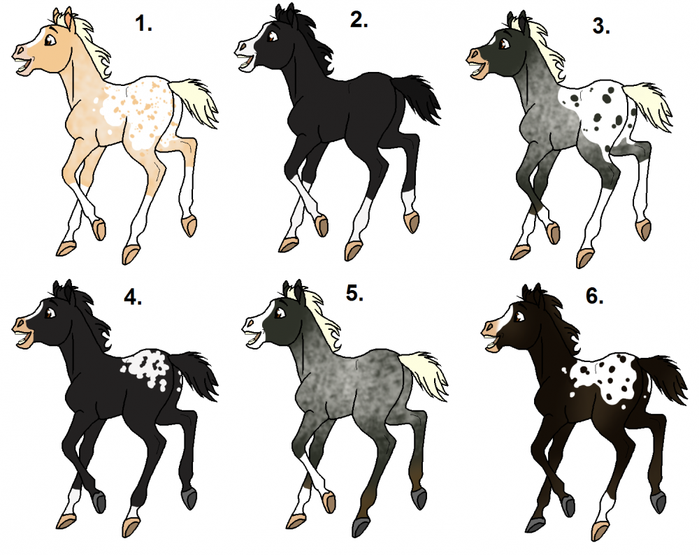 Bad Time X Liquorice foals
