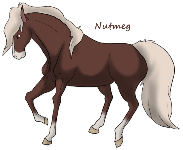 Nutmeg