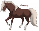 Nutmeg