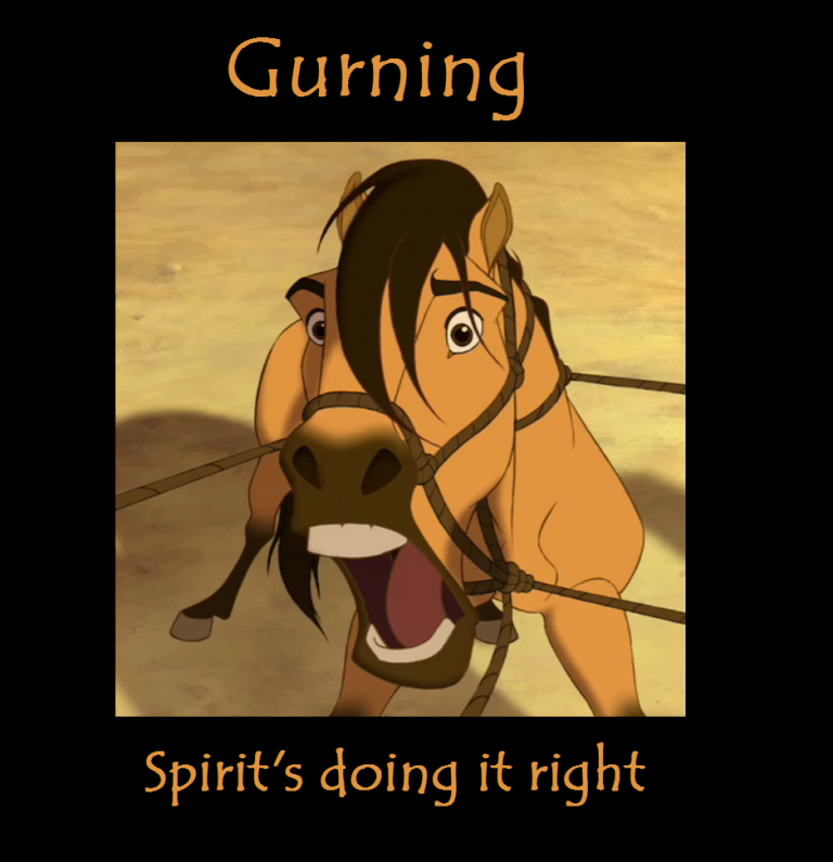 Gurning