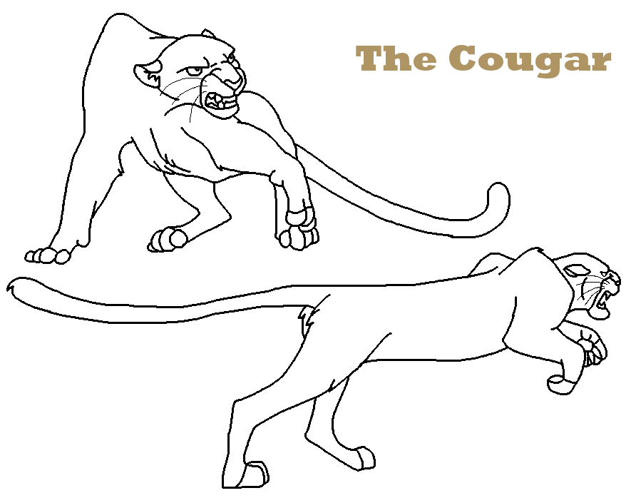 Cougar Blank Renders