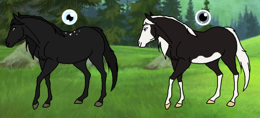 Design Requests ~ DarkNight