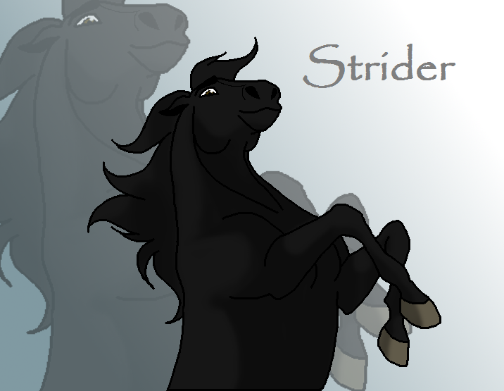 Strider