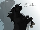 Strider