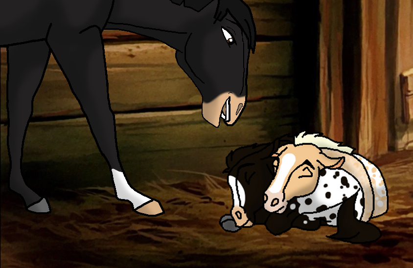 Wake Up, My Darlings