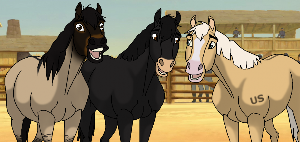 Cavalry Girls