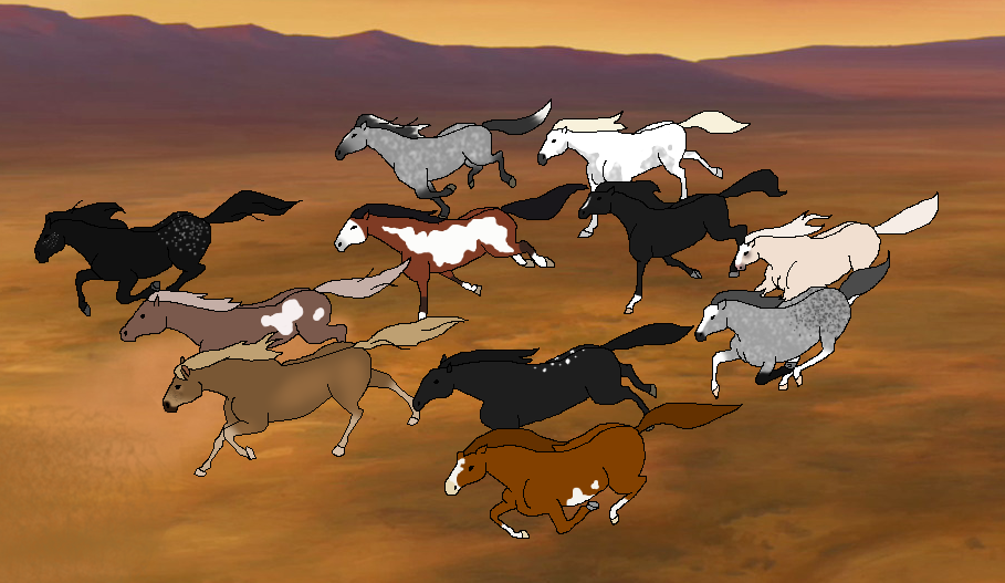 Cold Winds Herd