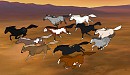 Cold Winds Herd