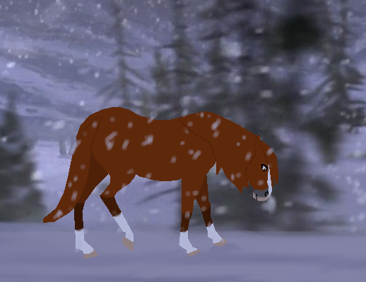 First Snow of Winter