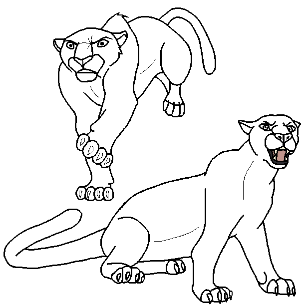 Cougar Blank Renders