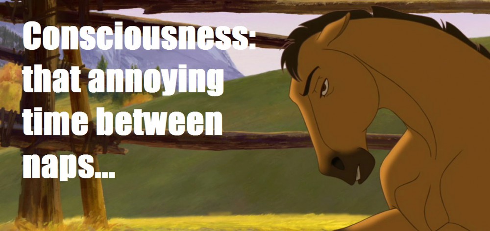 Consciousness