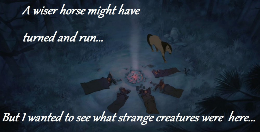 A Wiser Horse...