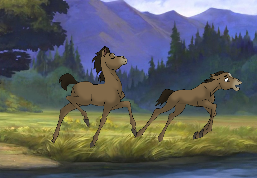 Playful Colts
