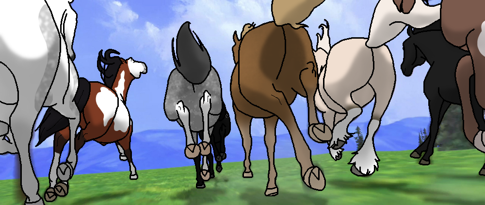 Cold Winds Herd