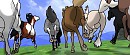 Cold Winds Herd