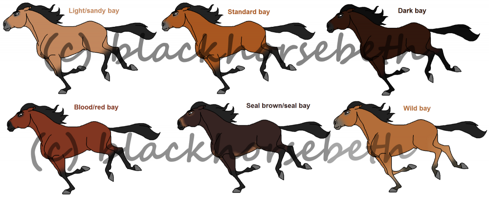 BHB's Guide to Bays/Brown