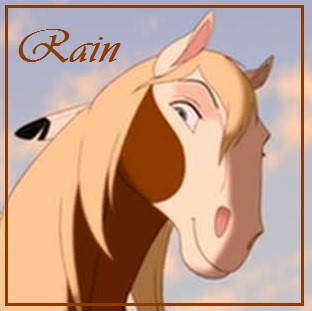 Rain Avatar