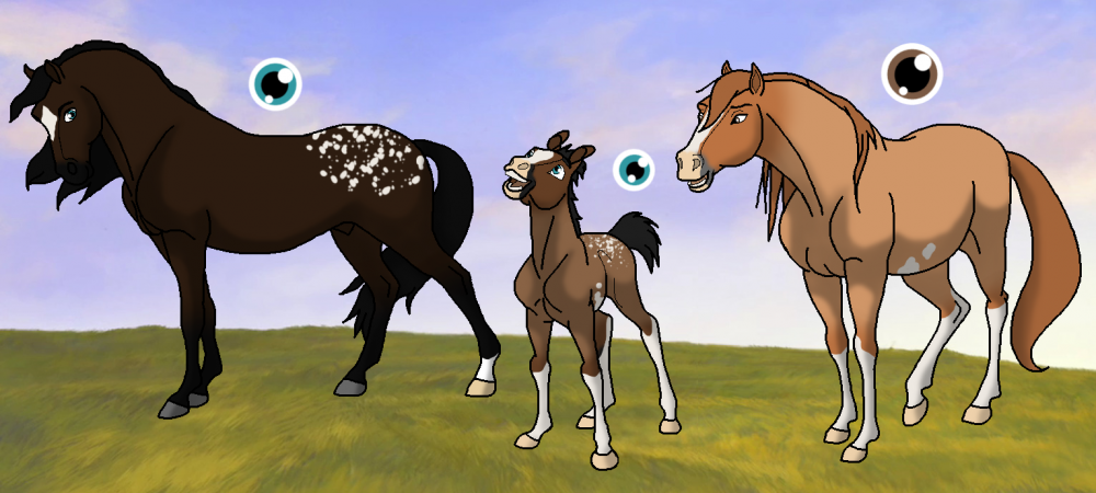 Design Request ~ buckskin lover