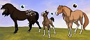 Design Request ~ buckskin lover