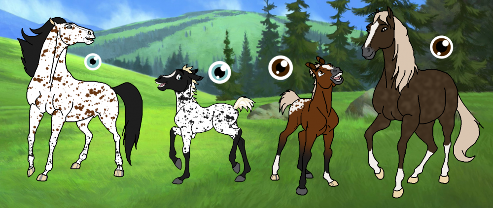 Design request ~ BluAshTurnedToRoses