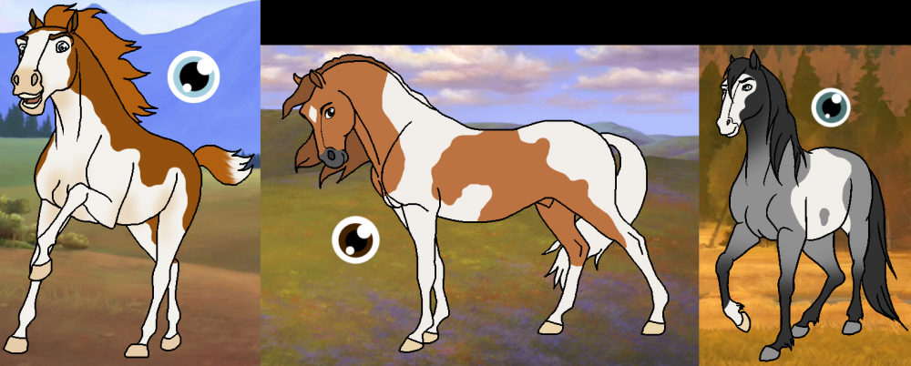 Design Request ~ CommonDog