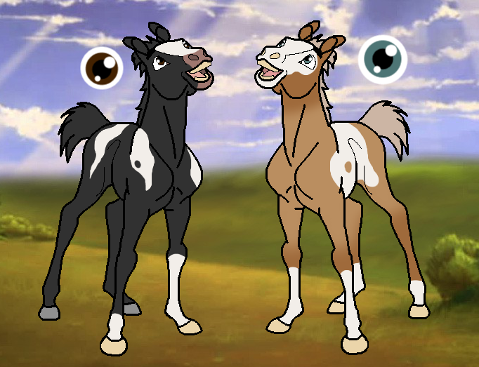 Design Request ~ CommonDog