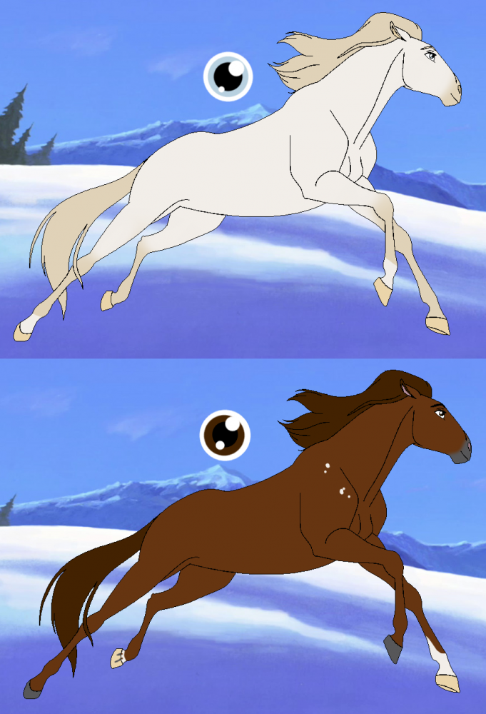 Design Request ~ CommonDog