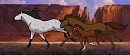 Canyon Run