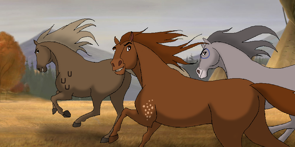 Lakota ponies