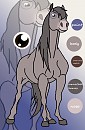 Grey Lakota Pony Reference