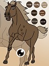 Flaxen Lakota Pony reference