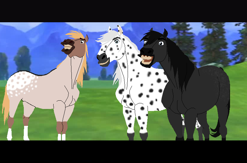 The Sunset Stallions