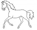 Yearling/2 year old Blank Render