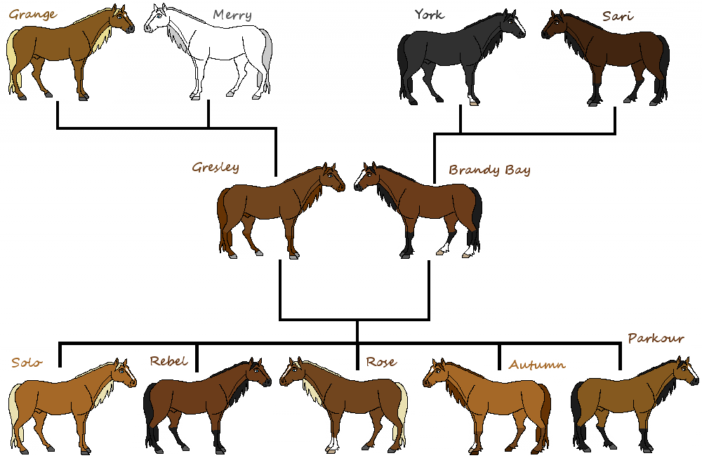 Autumn's Family Tree