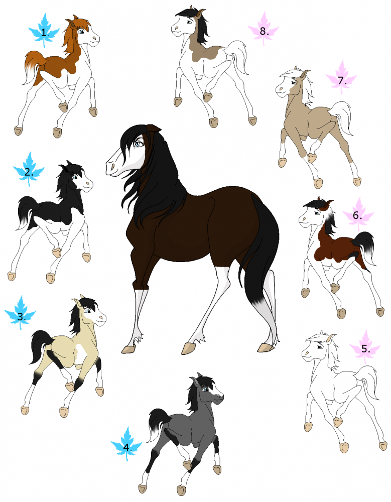 Adoptable Foals