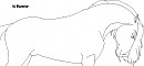 Blank Render #2