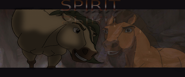 Spirit Signature