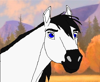 If Aiko was a Stallion