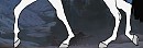 Legs o3O?