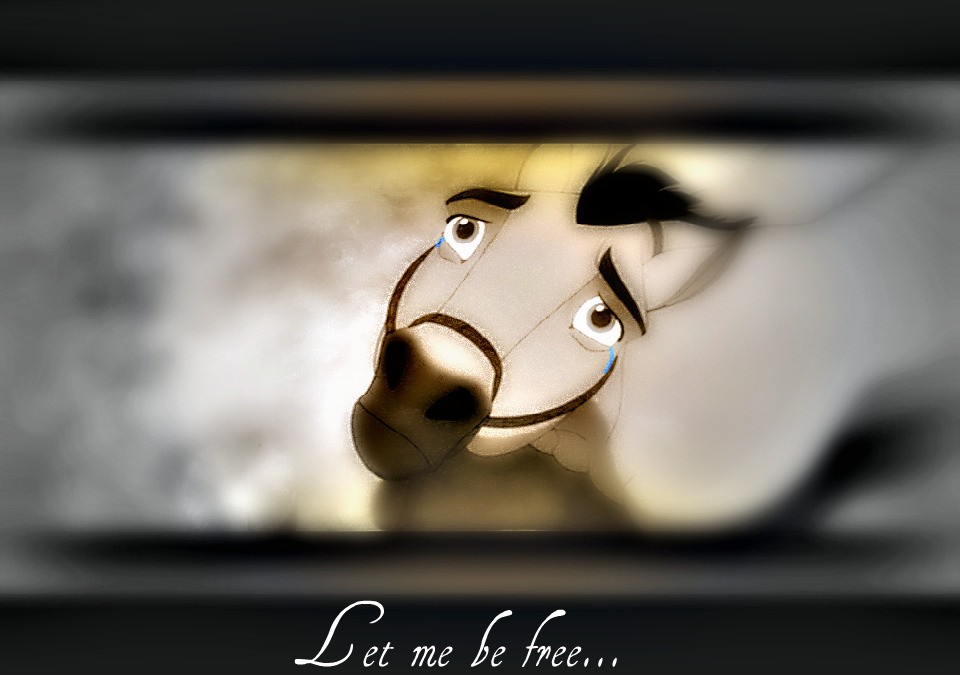 Spirit