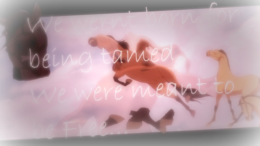 We were not born to be...