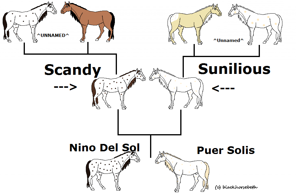 The boys family tree