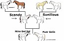 The boys family tree