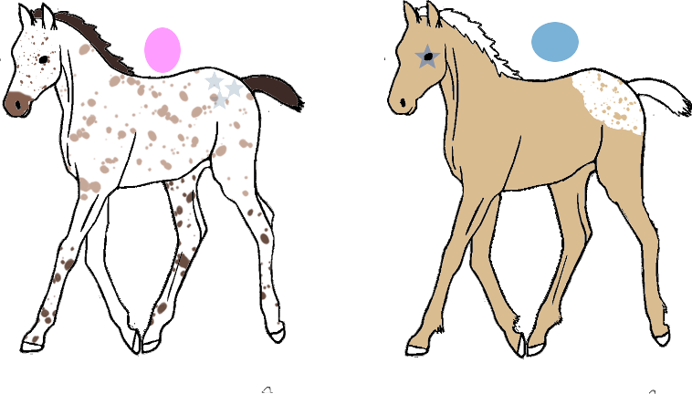 Foal designs! *Puer & Lemenet*
