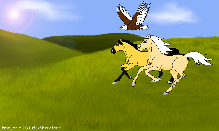 Wild&Free