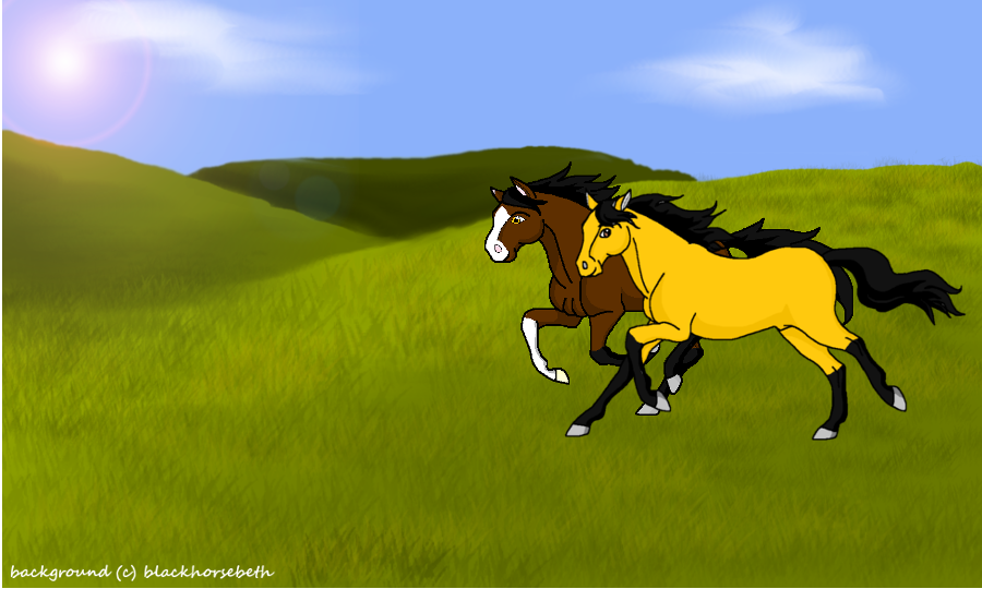 Race You!