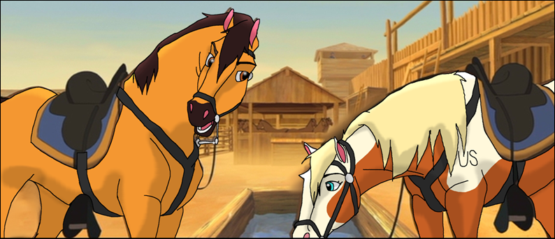 cowboy couple