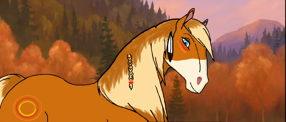 My New Mare..