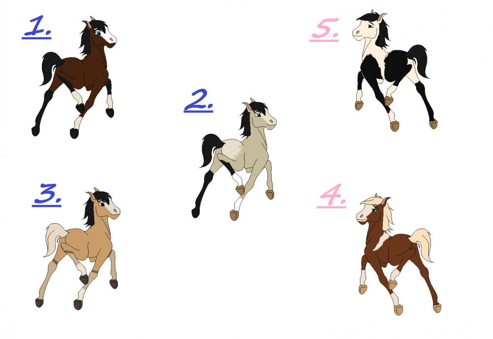 Hanovi Foal Adoptables!!