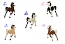 Hanovi Foal Adoptables!!